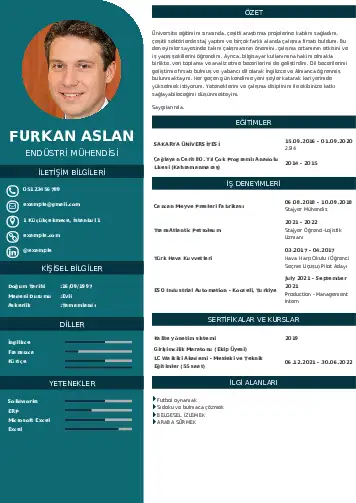 cv indir